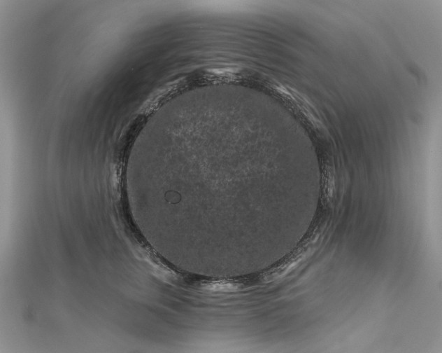 X0000112800759200909041432