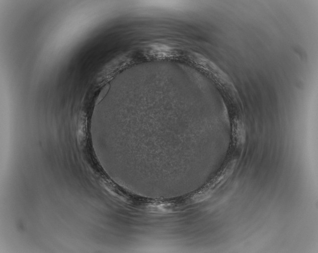 X0000112800760200909041432