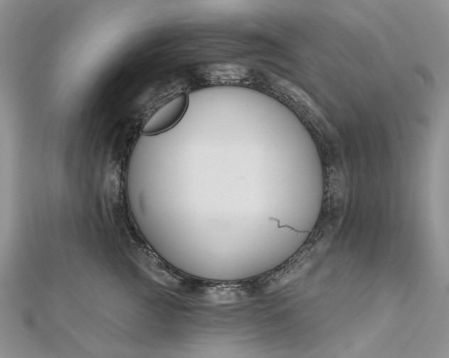 X0000112800761200909041432