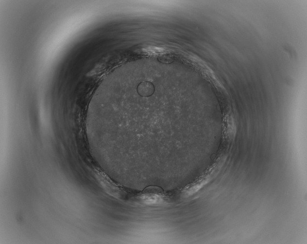 X0000112800762200909041432