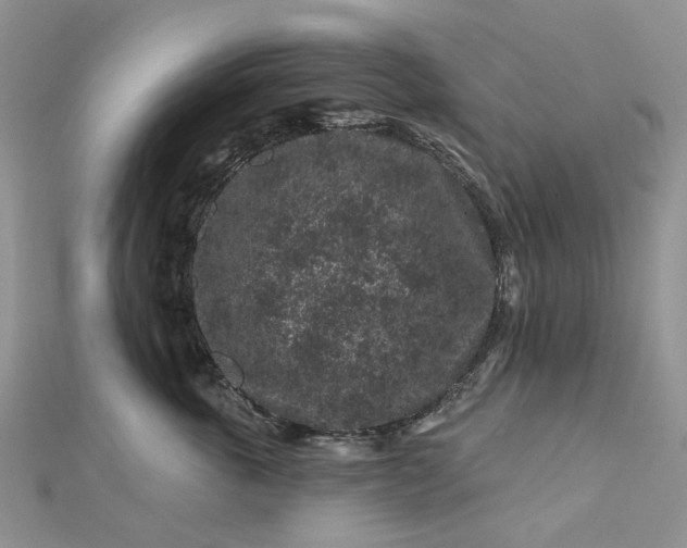 X0000112800763200909041432