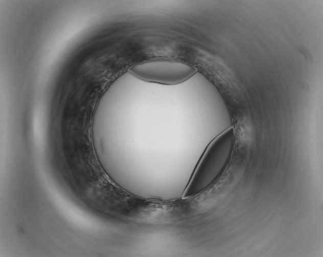X0000112800764200909041432