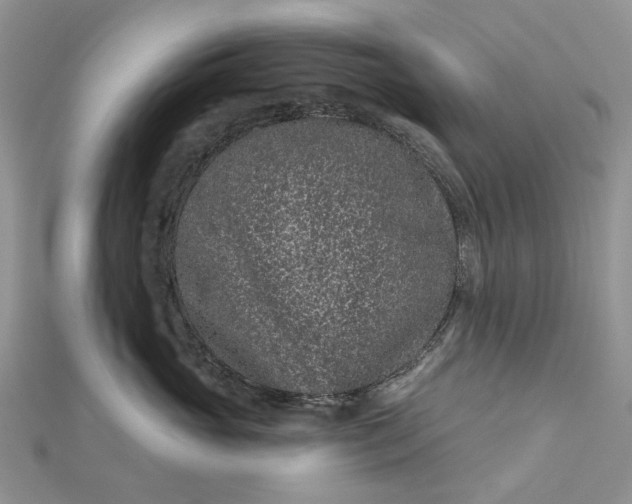 X0000112800765200909041432