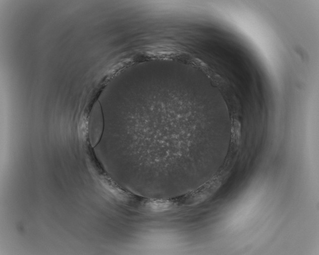 X0000112800767200909041432