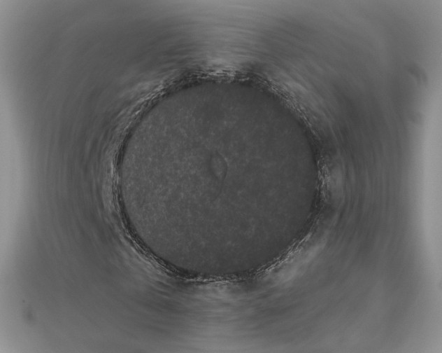 X0000112800769200909041432