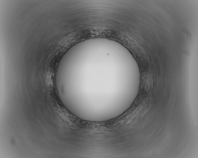 X0000112800770200909041432