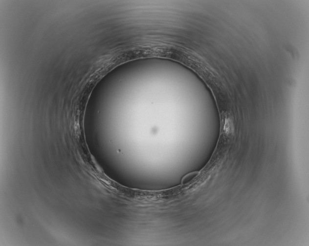 X0000112800771200909041432