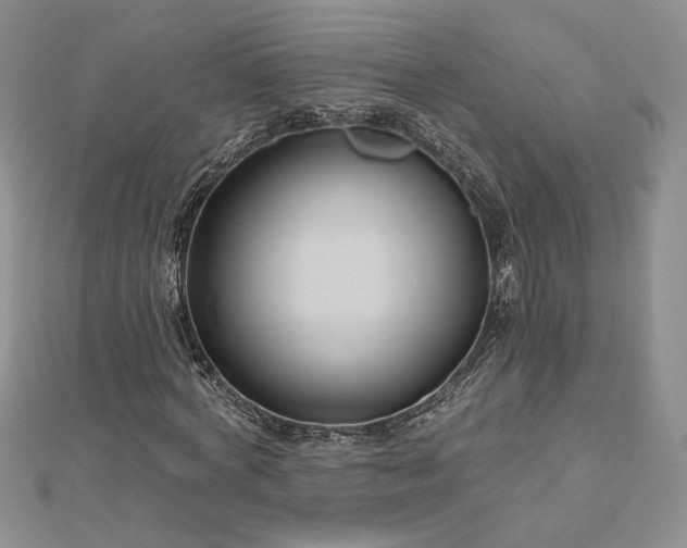 X0000112800772200909041432