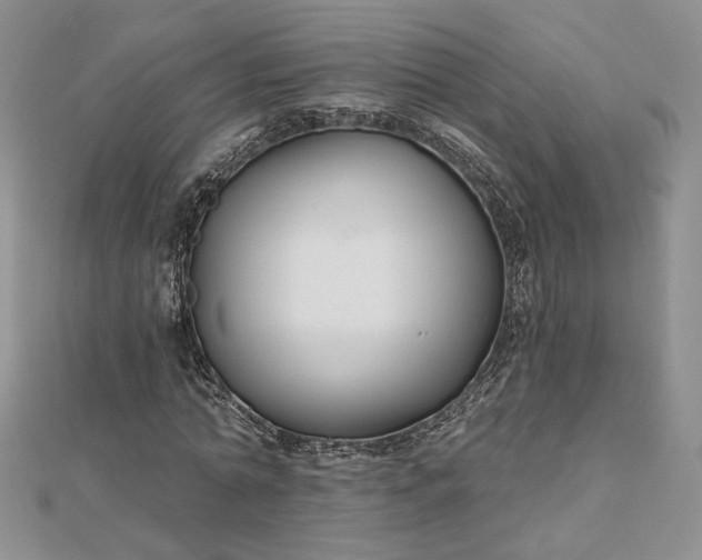 X0000112800774200909041432
