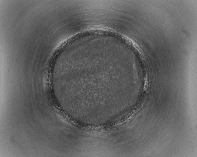 X0000112800775200909041432