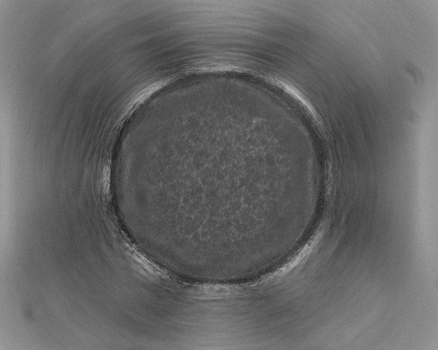 X0000112800777200909041432