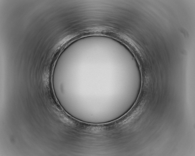 X0000112800778200909041432