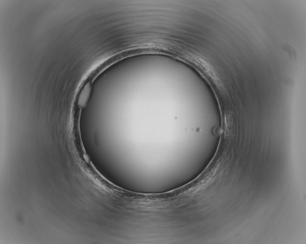 X0000112800780200909041432