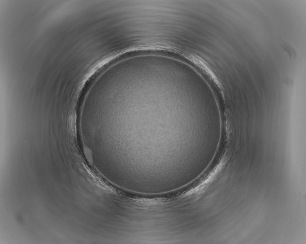 X0000112800781200909041432