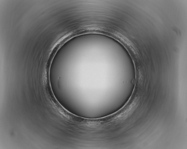 X0000112800782200909041432