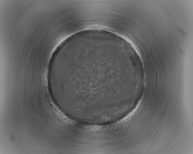 X0000112800783200909041432