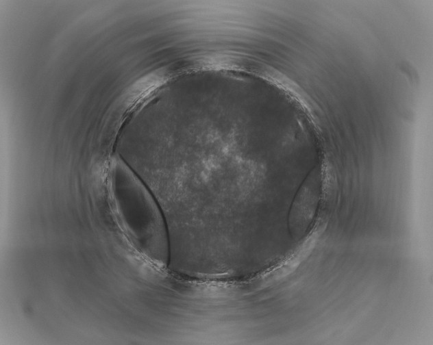 X0000112800785200909041432