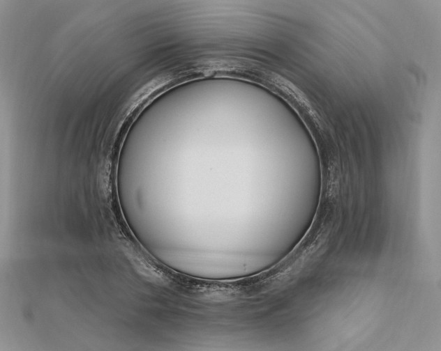 X0000112800786200909041432