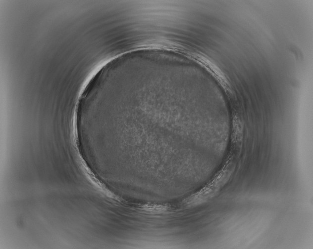 X0000112800788200909041432