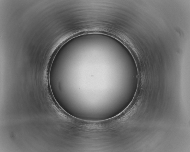 X0000112800789200909041432