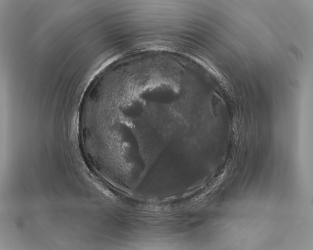 X0000112800790200909041432