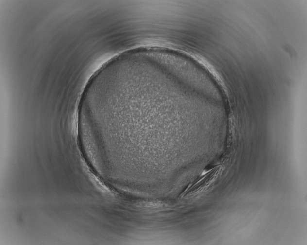 X0000112800791200909041432