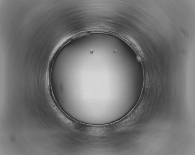 X0000112800796200909041431