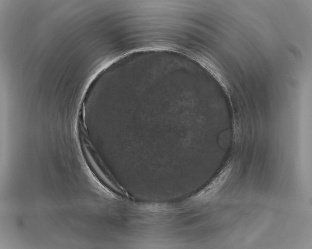 X0000112800797200909041431