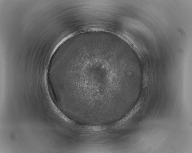 X0000112800798200909041431
