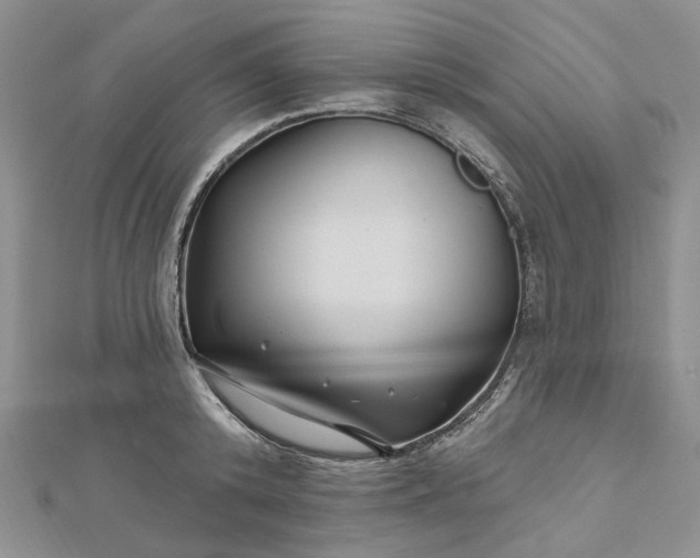 X0000112800800200909041431