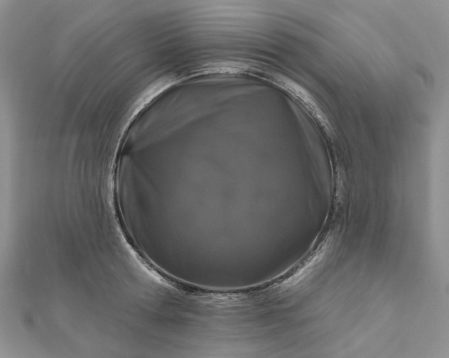 X0000112800802200909041431