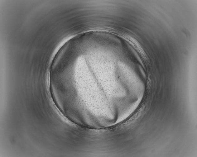 X0000112800804200909041431