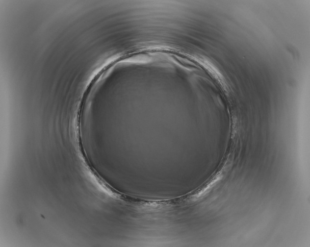X0000112800806200909041431