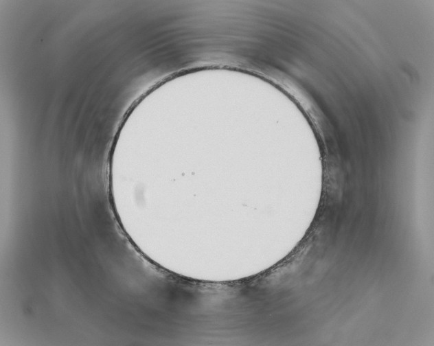 X0000112800807200909041431