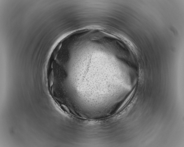 X0000112800808200909041431