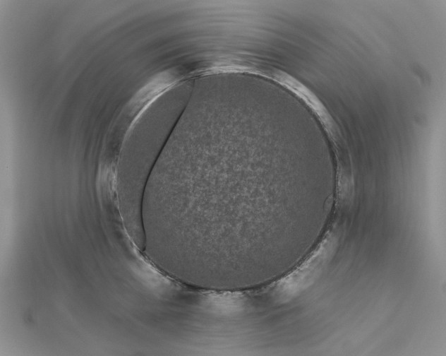 X0000112800809200909041431