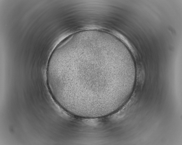 X0000112800810200909041431