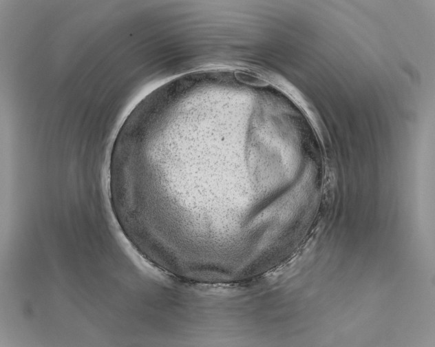 X0000112800811200909041431