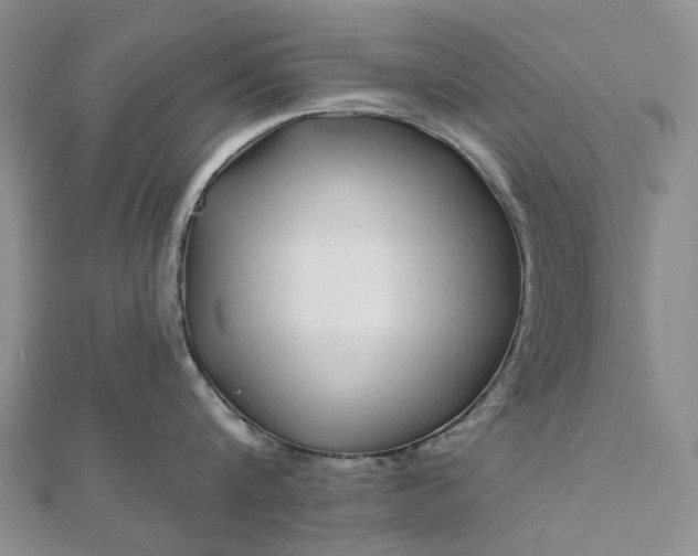 X0000112800816200909041431