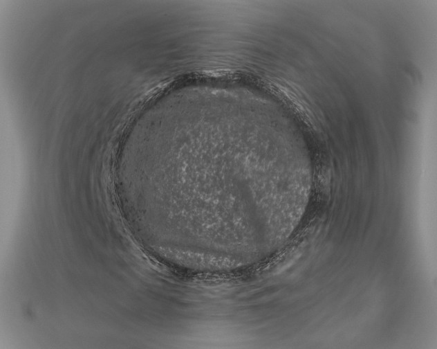 X0000112800817200909041431