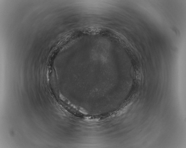 X0000112800818200909041431