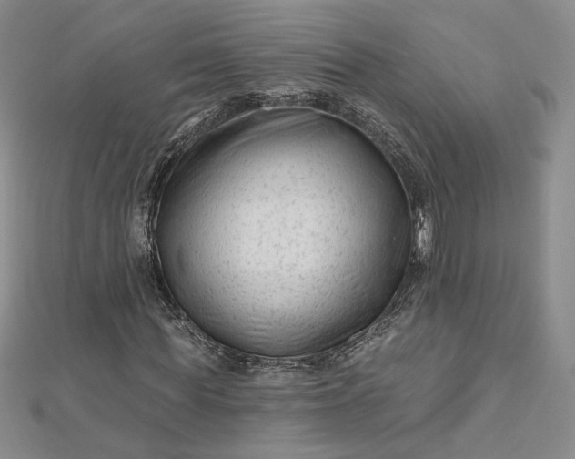 X0000112800819200909041431