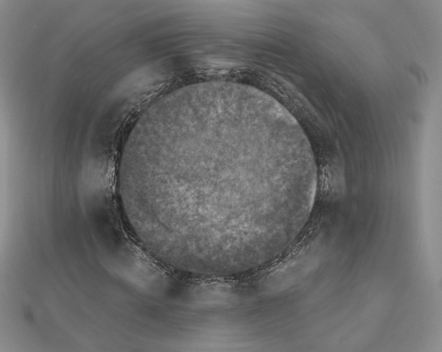 X0000112800820200909041431