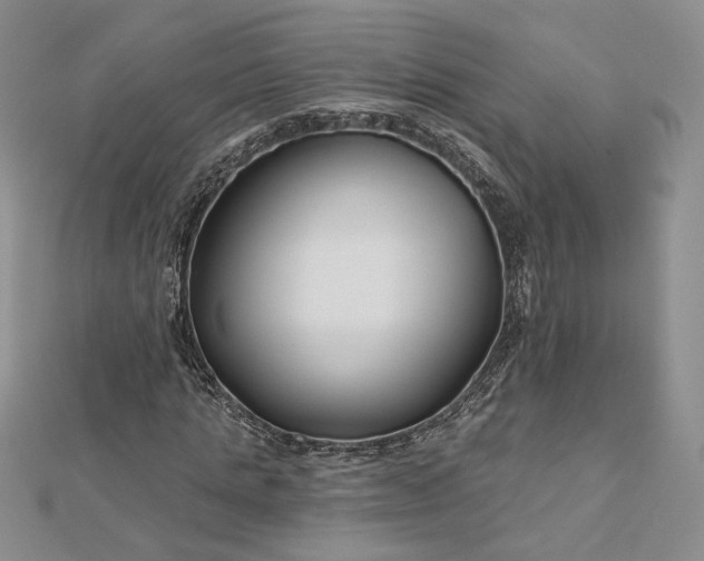 X0000112800821200909041431