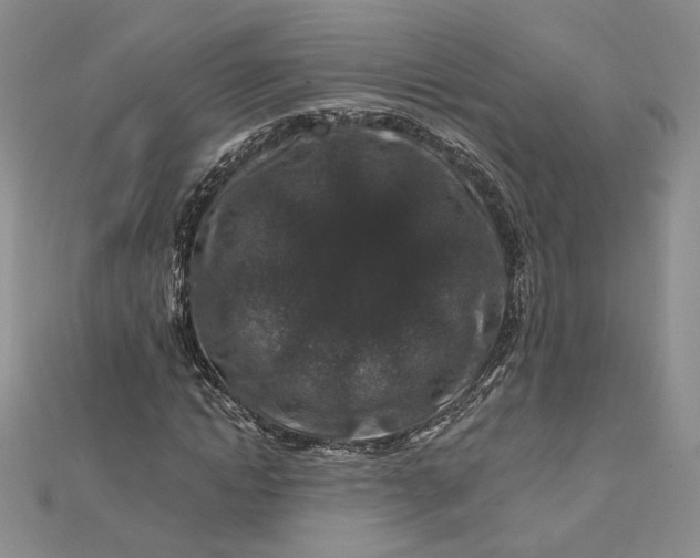 X0000112800822200909041431