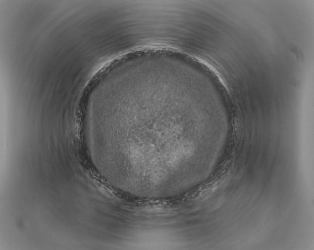 X0000112800823200909041431
