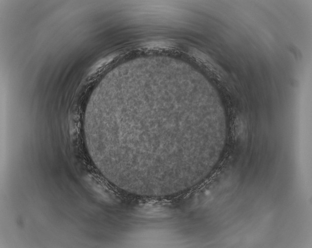 X0000112800824200909041431