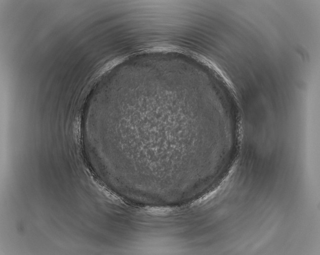 X0000112800825200909041431