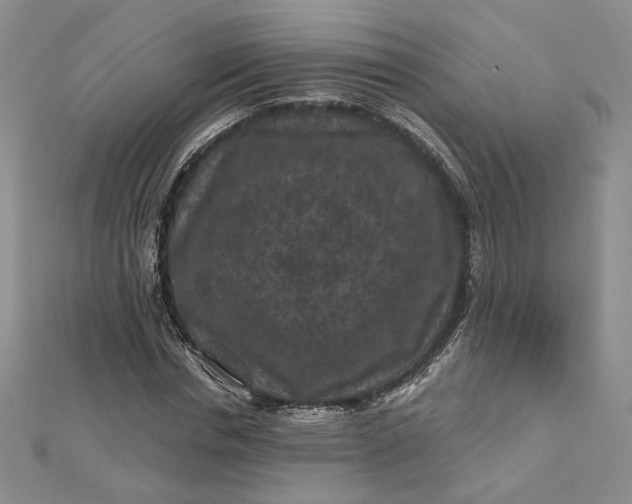 X0000112800826200909041431