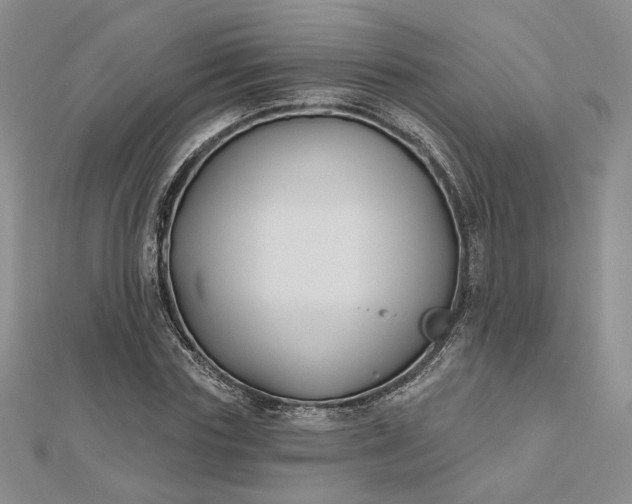 X0000112800827200909041431